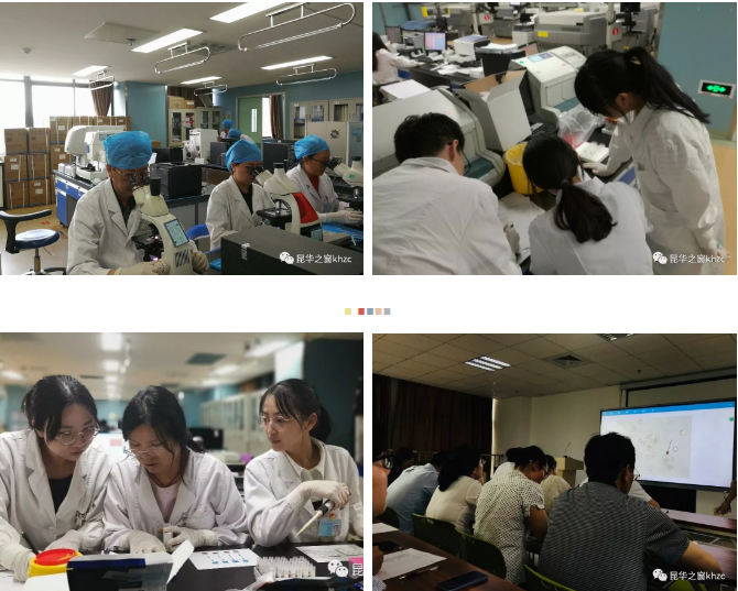 QQ截图20190813185646.png