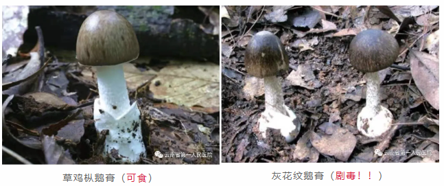 QQ截图20210624111806.png