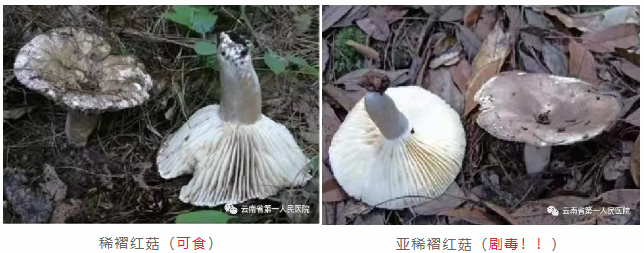 QQ截图20210624111819.png
