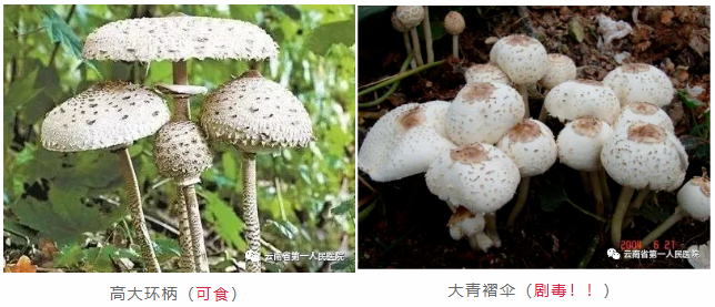 QQ截图20210624111828.png