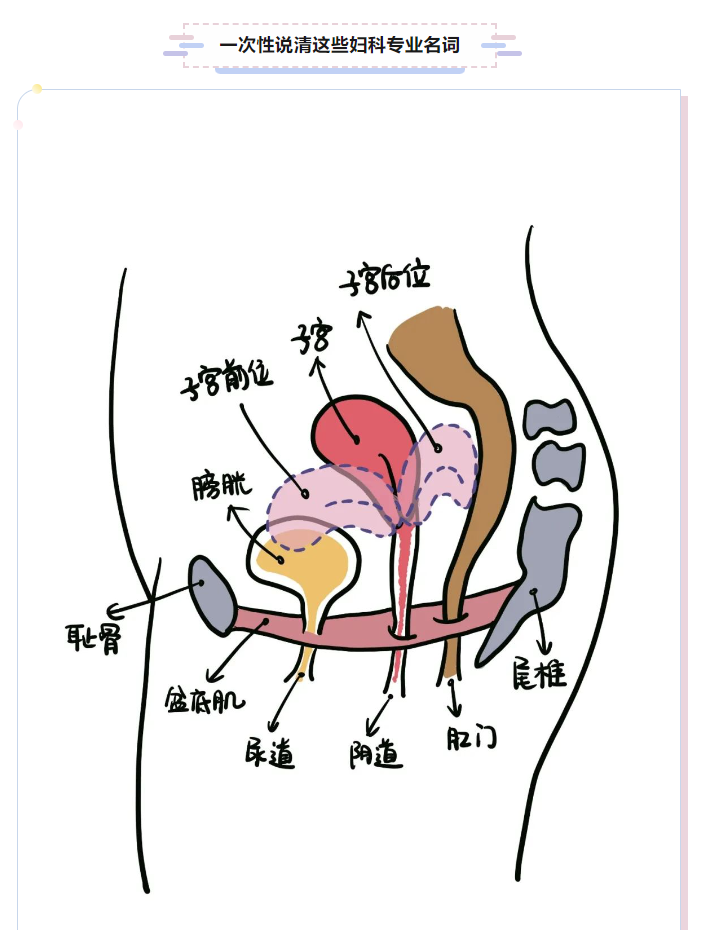 QQ截图20231220091741.png